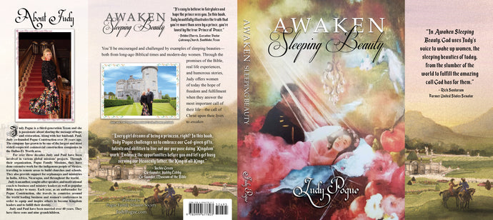 Awaken Sleeping Beauty - English - Hard Cover